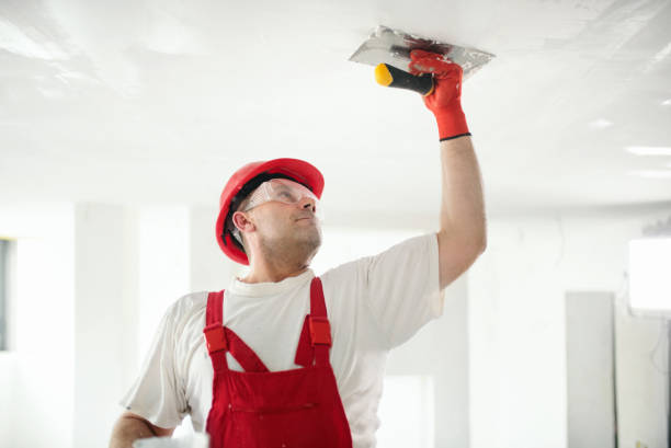 Best Water-Damaged Drywall Repair  in Fremont, IN